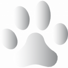 Paw